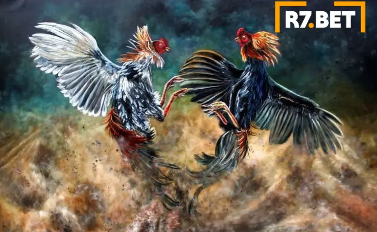 Rinhas de galo online na R7Bet-5